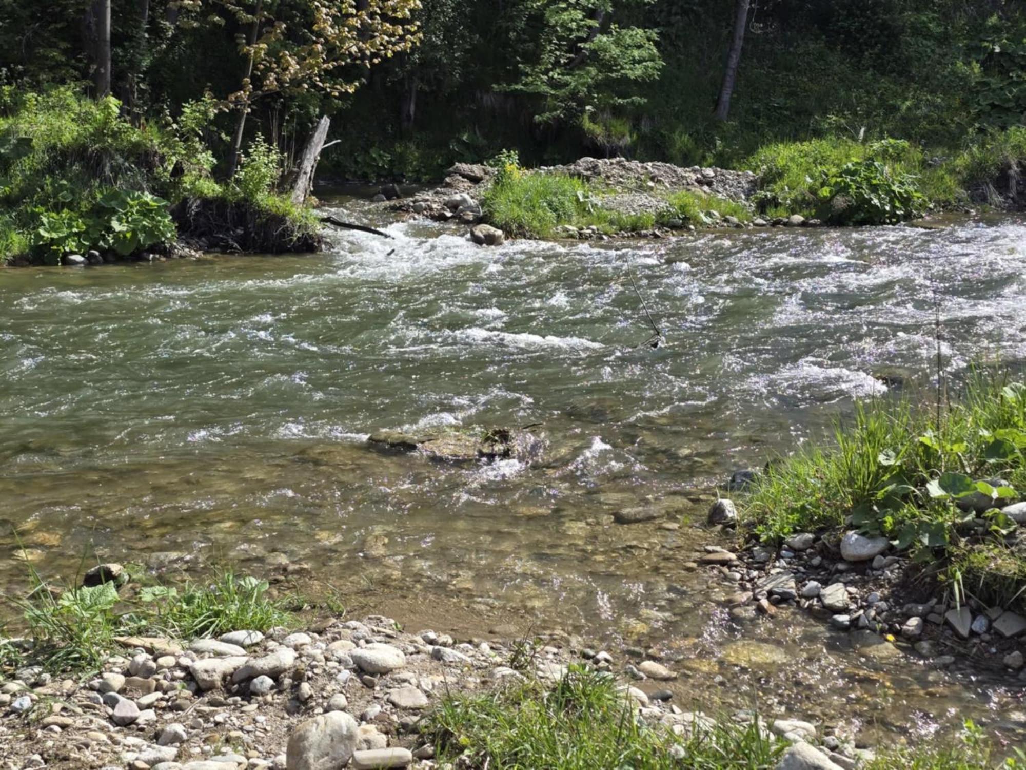 Chocholowska Zohylina Pokoje I Domek Bagian luar foto