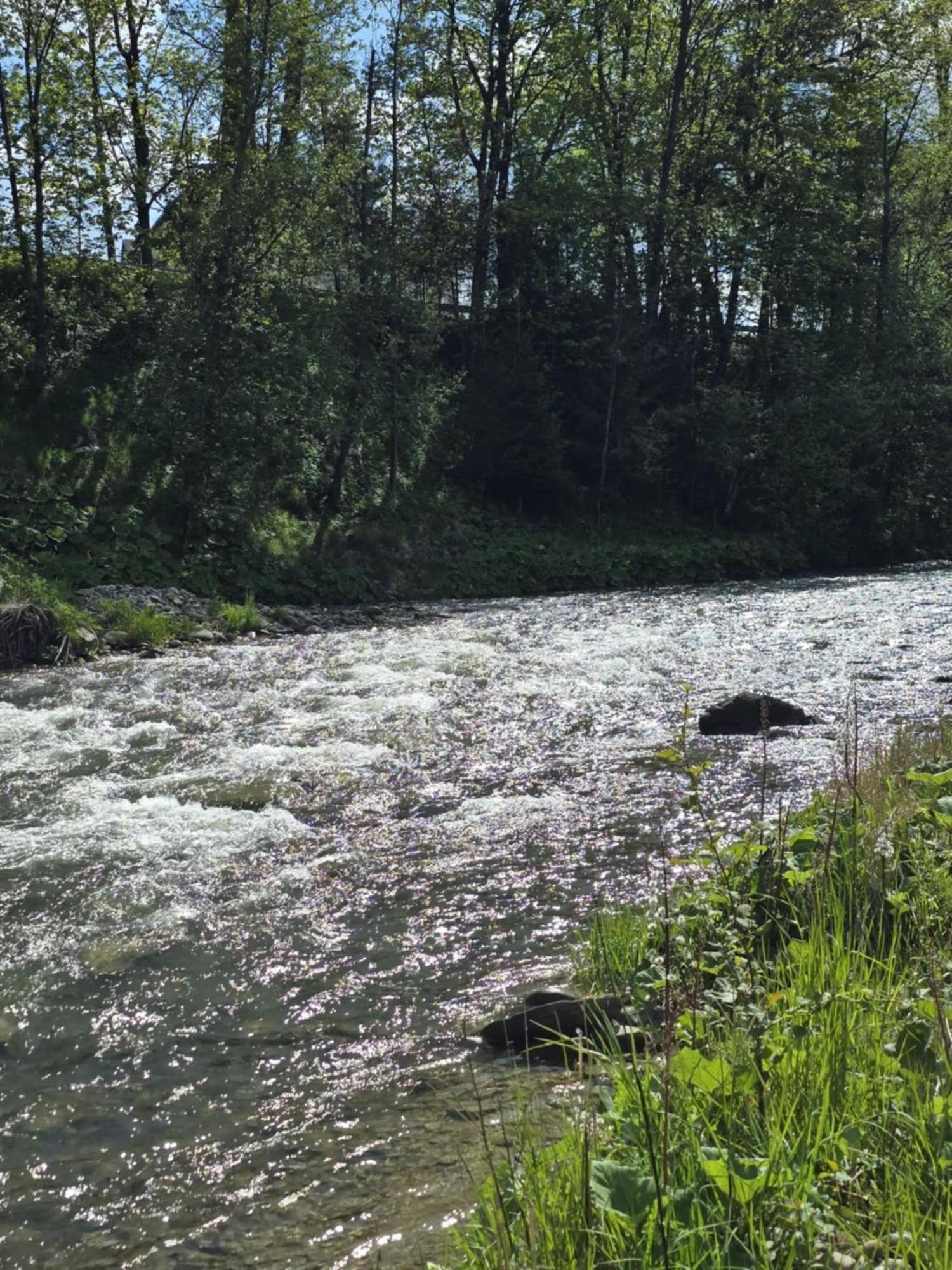 Chocholowska Zohylina Pokoje I Domek Bagian luar foto